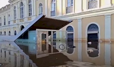 Palmeiras bate Botafogo e revê vitória depois de três partidas